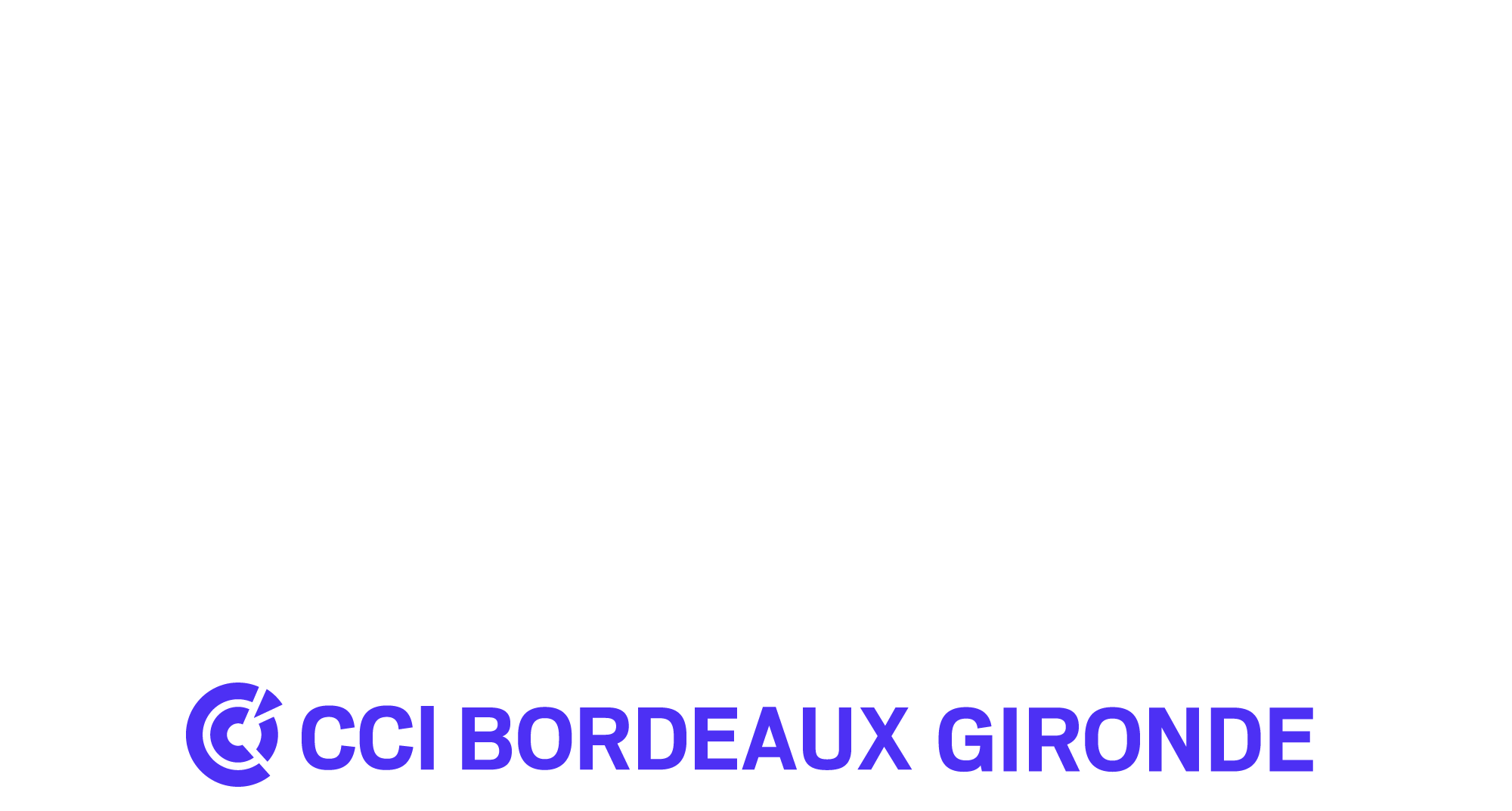 Logo CCI France